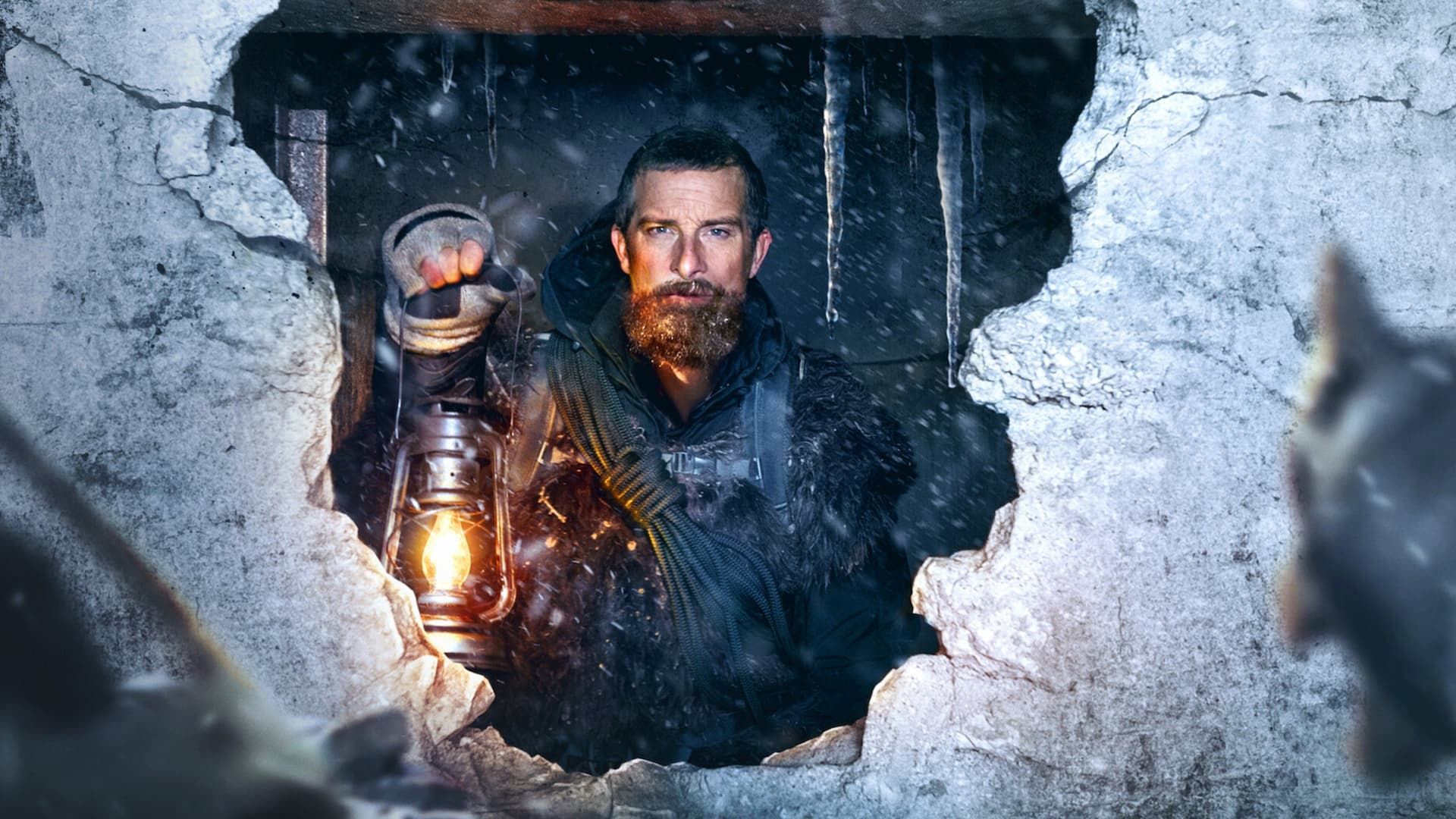 You vs. Wild: Out Cold background