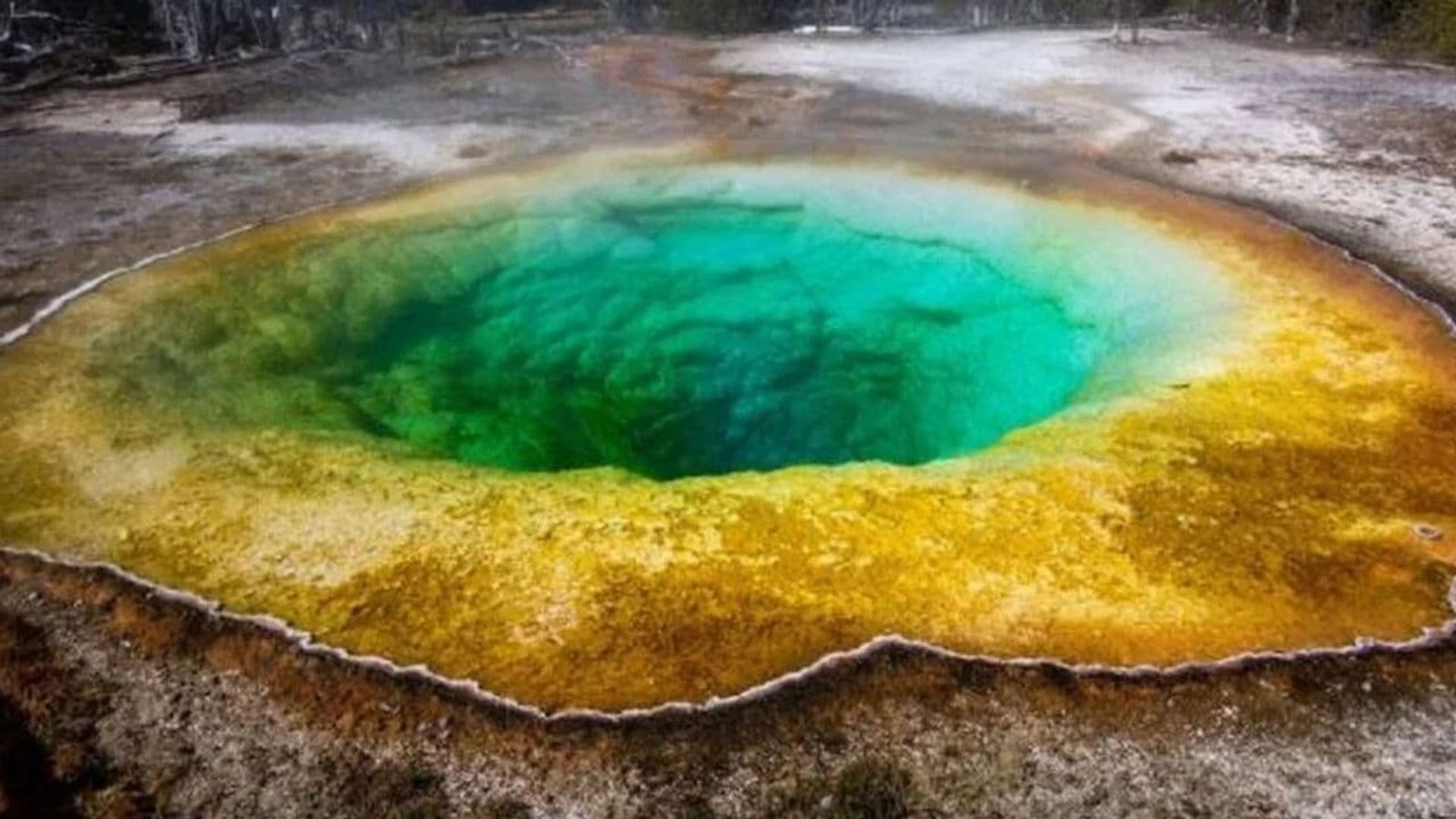 Yellowstone Supervolcano: American Doomsday background