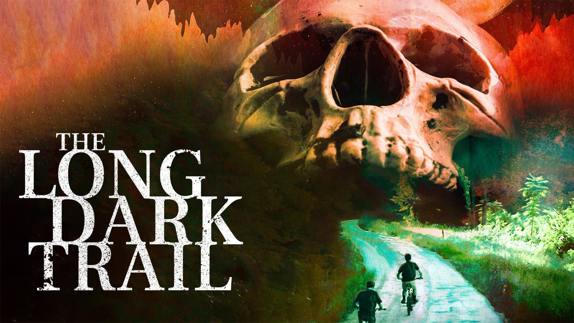 The Long Dark Trail background