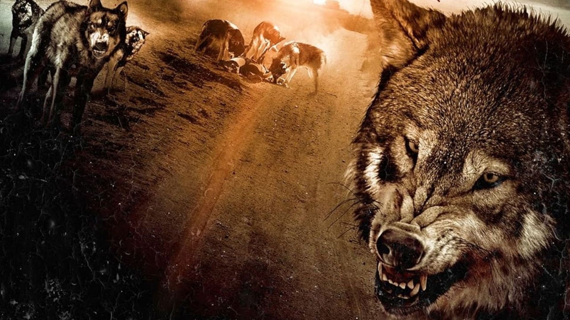 Wolf Town background