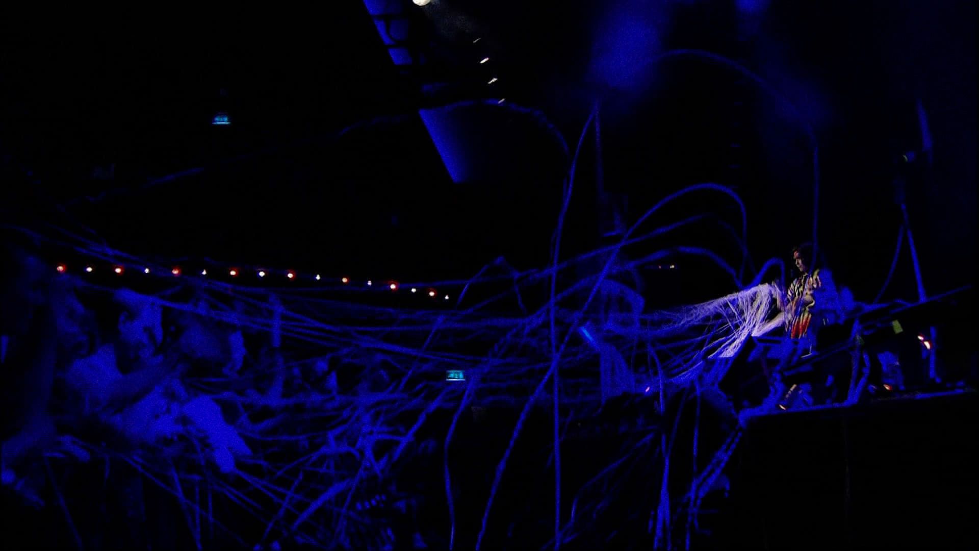 Bjork's Voltaic: Live in Paris background