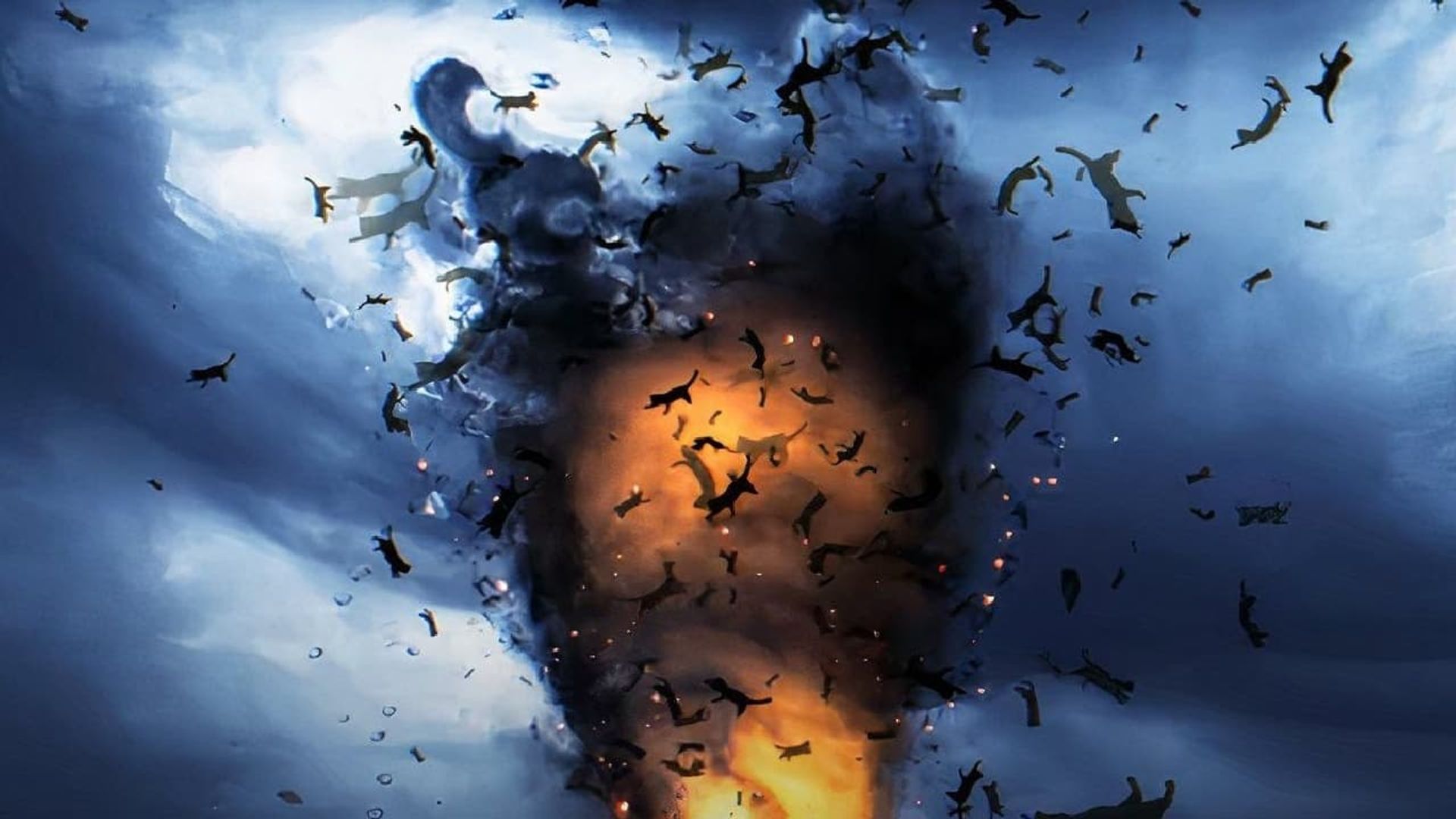 Catnado background