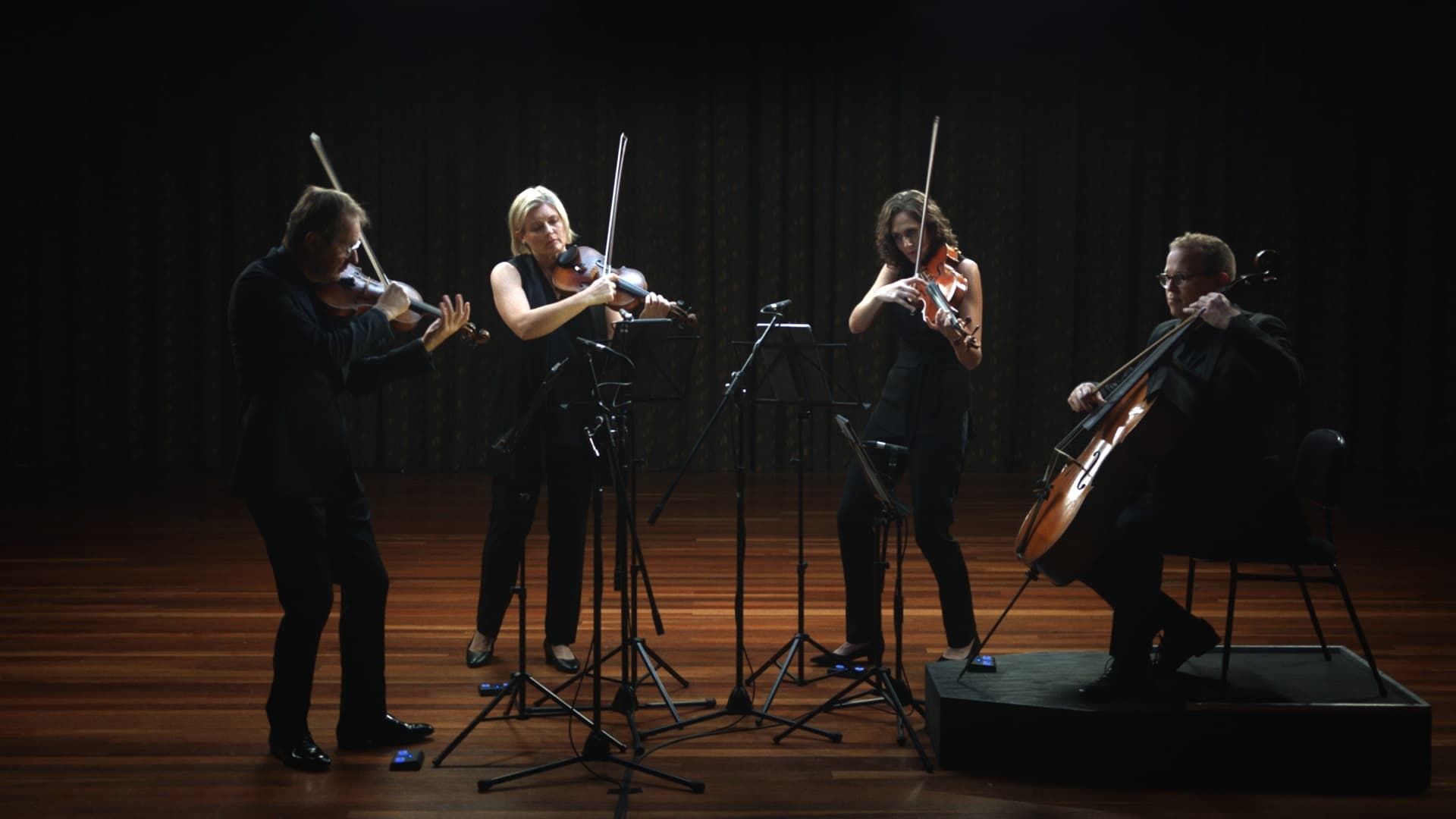 Anatomy of a String Quartet background