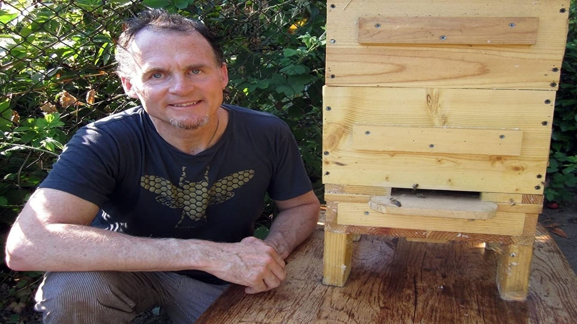 Queen of the Sun: What Are the Bees Telling Us? background