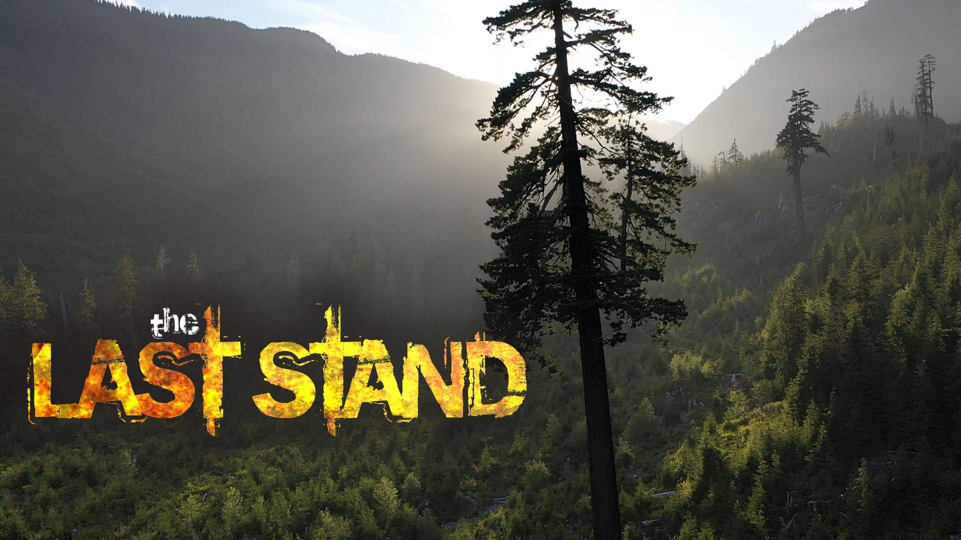 The Last Stand background