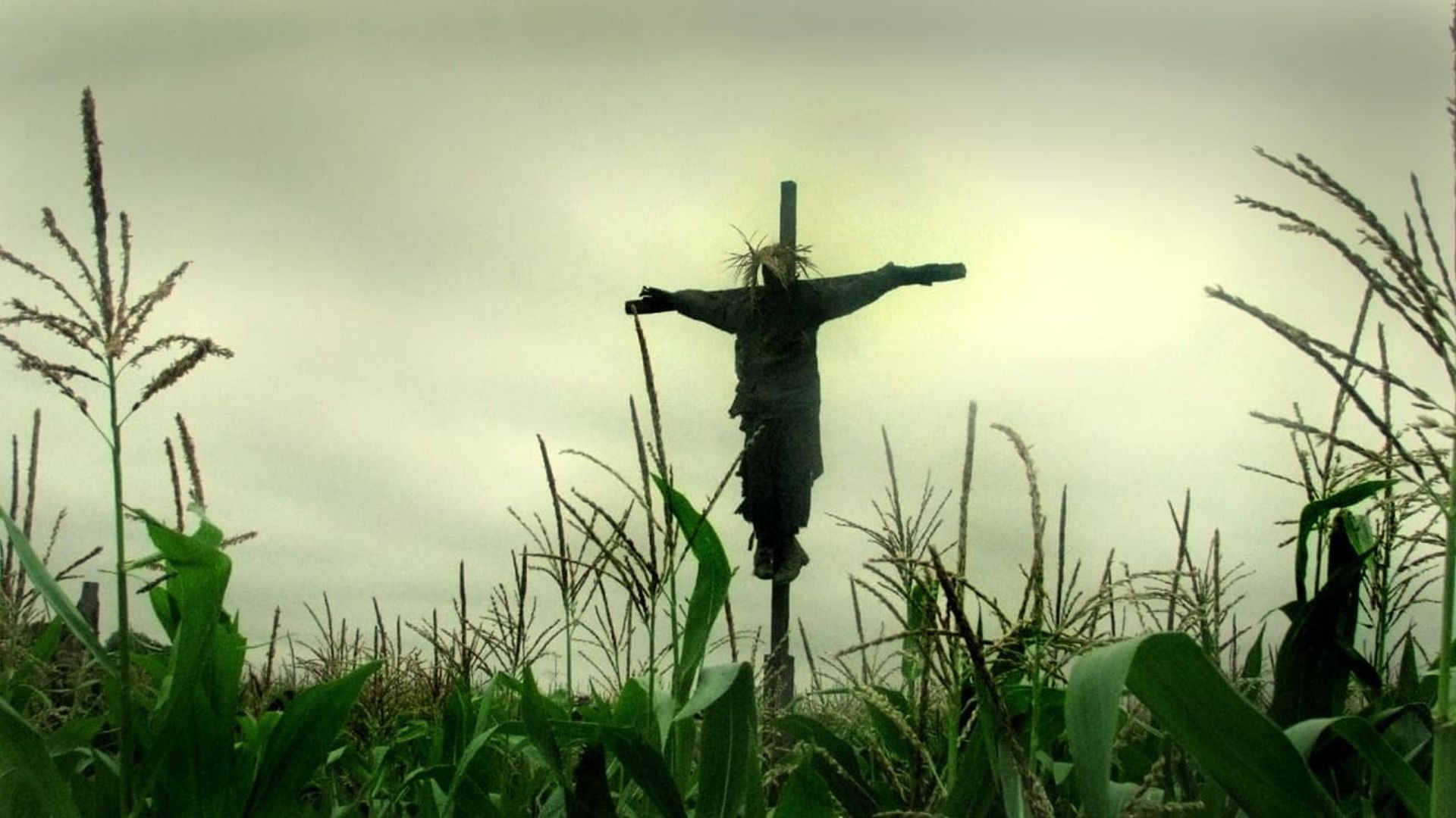 The Confession background