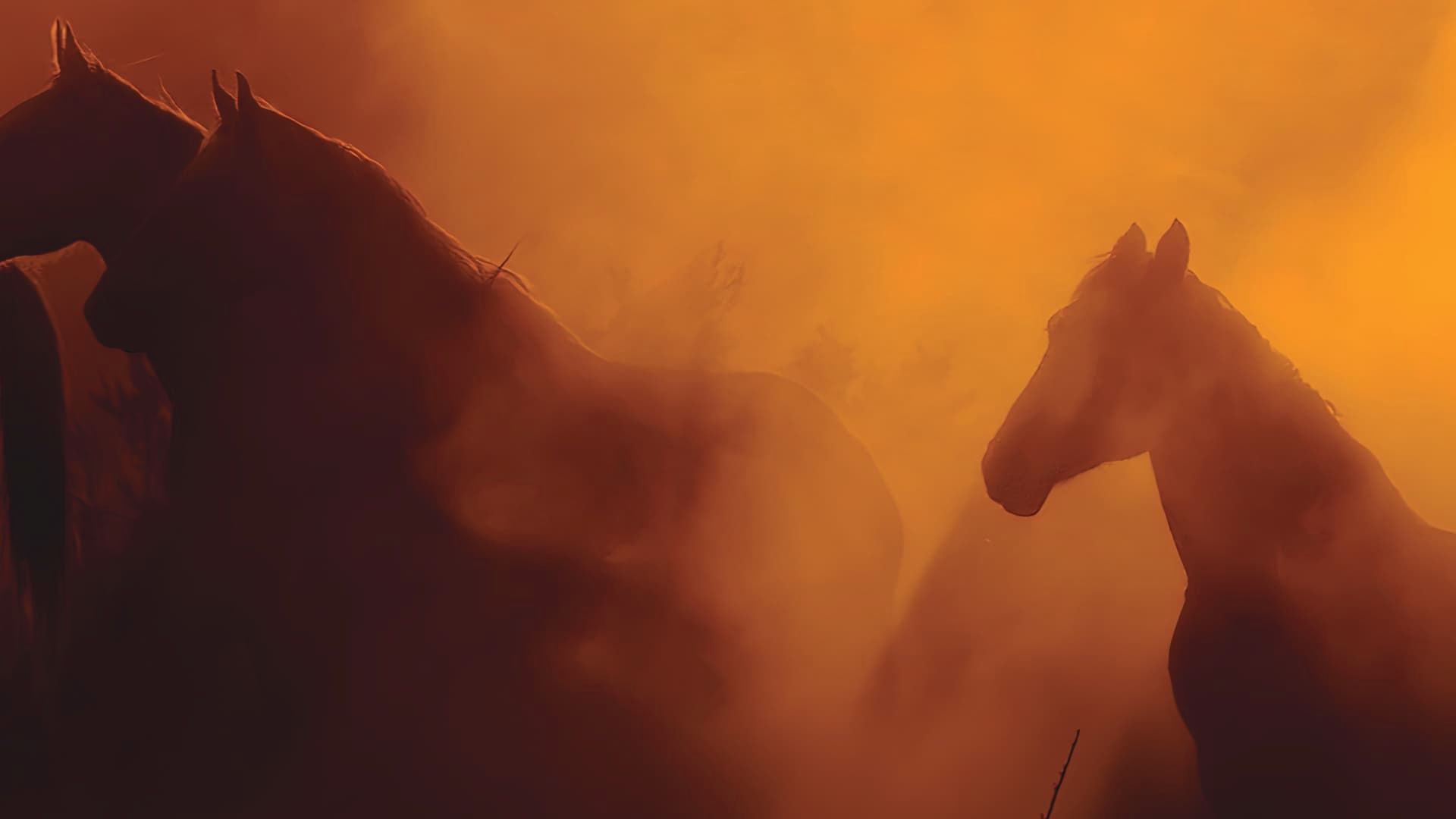 Wild Beauty: Mustang Spirit of the West background