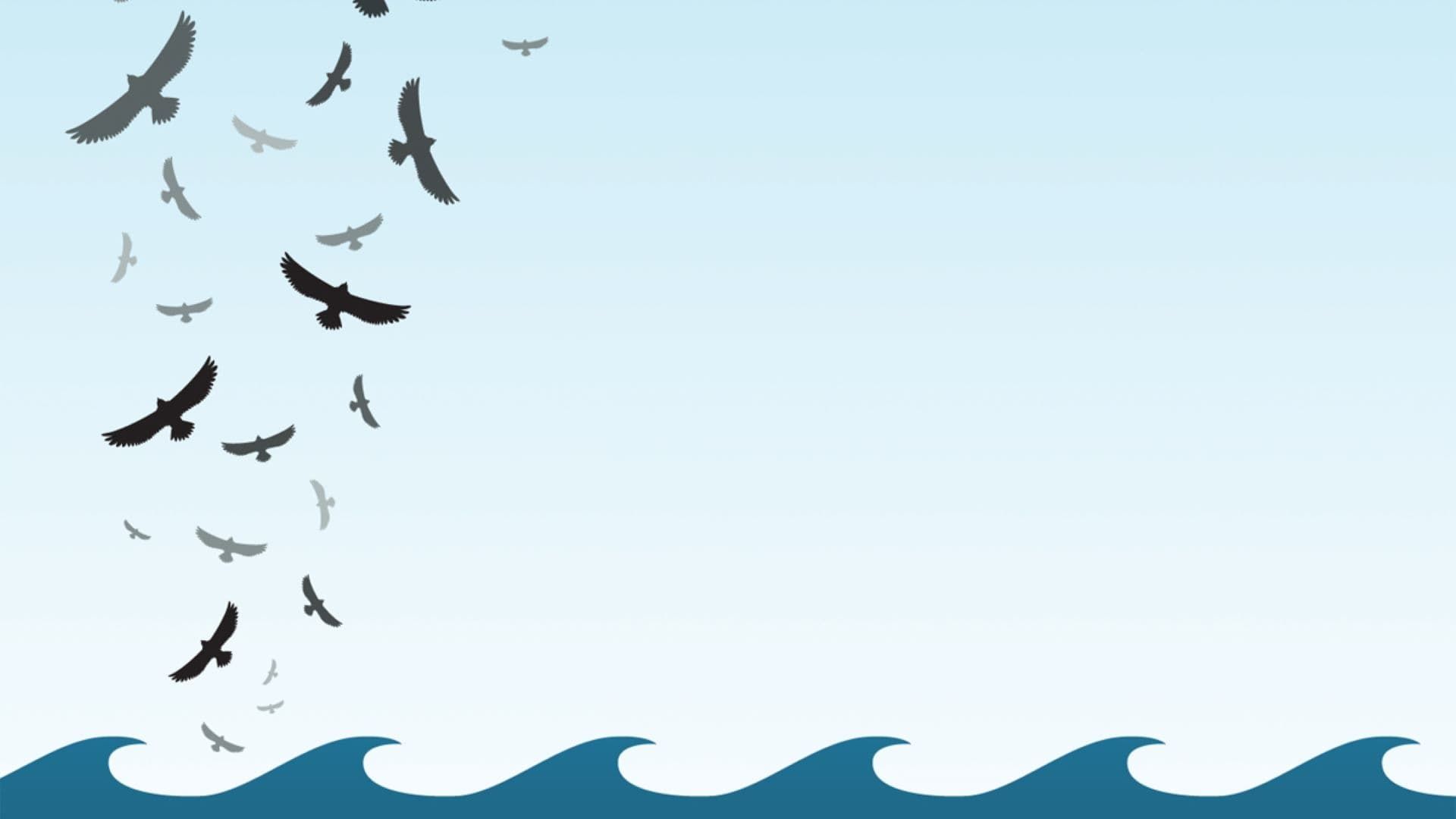 In the Wake of the Flood background