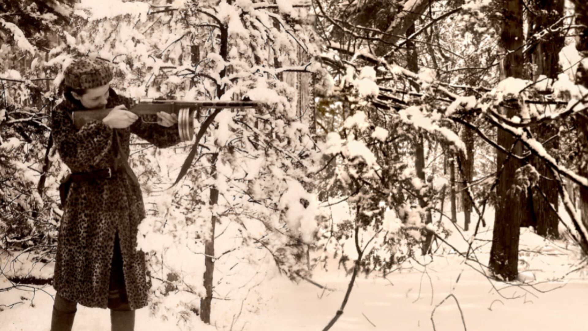 Four Winters: A Story of Jewish Partisan Resistance and Bravery in WW2 background
