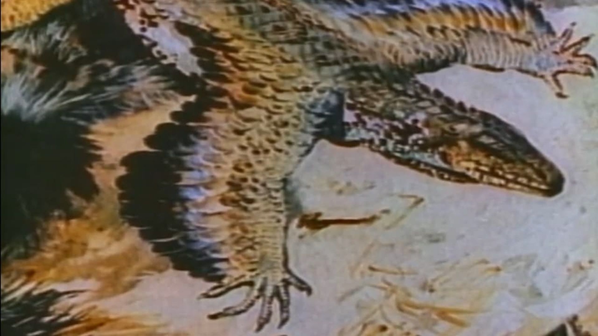 The Case of the Flying Dinosaur background