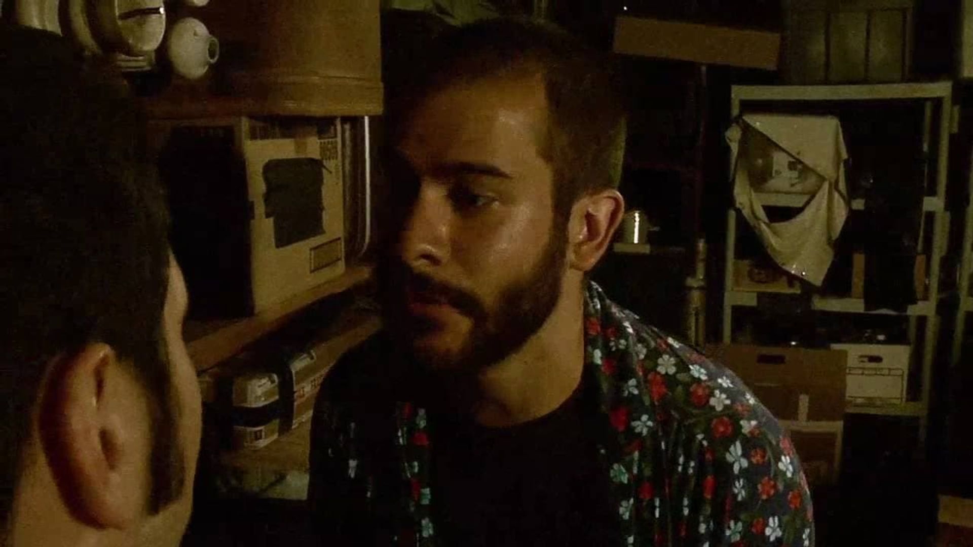 Frankie in Blunderland background