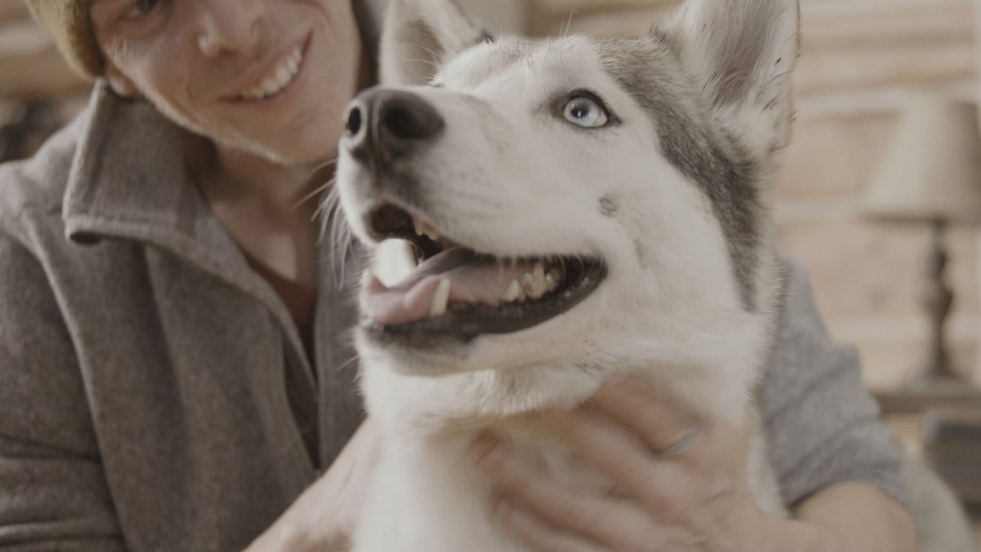 The Year of the Dog background