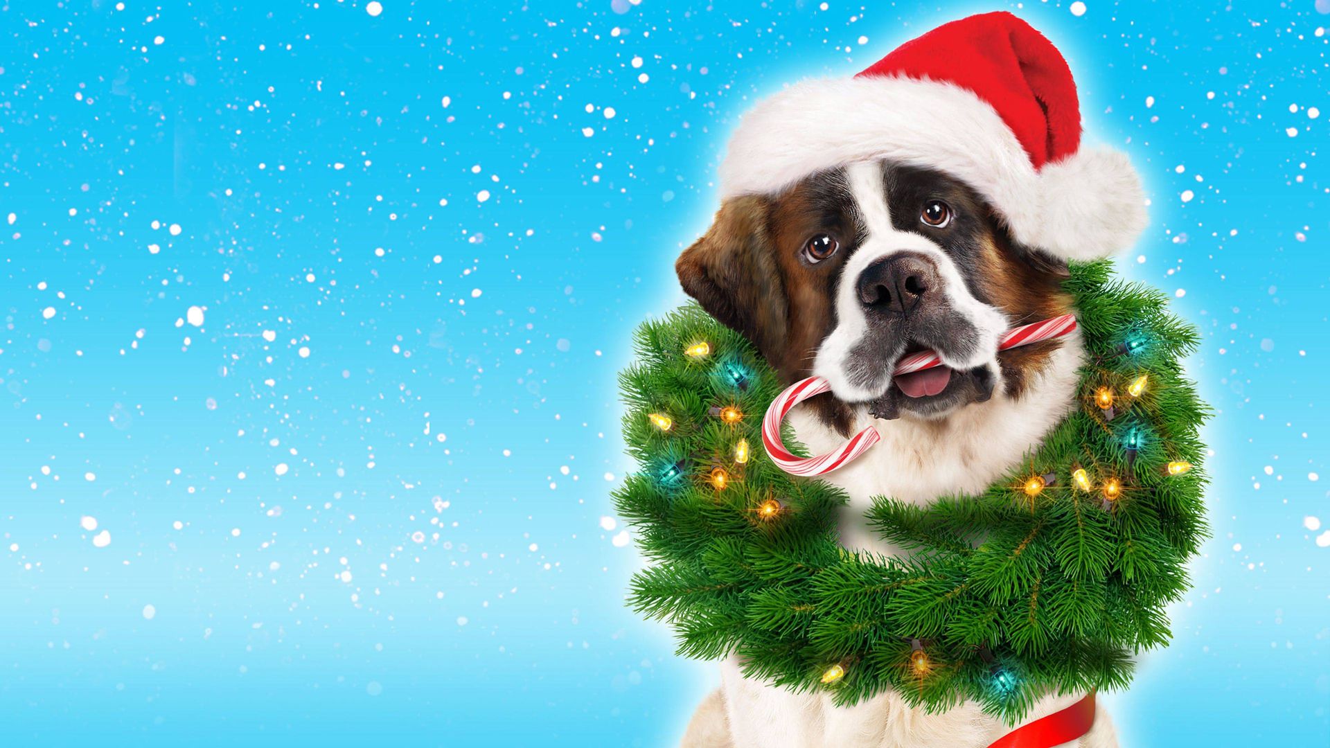 Beethoven's Christmas Adventure background