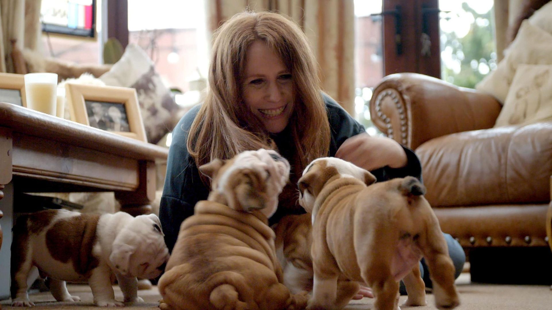 Saving the British Bulldog background