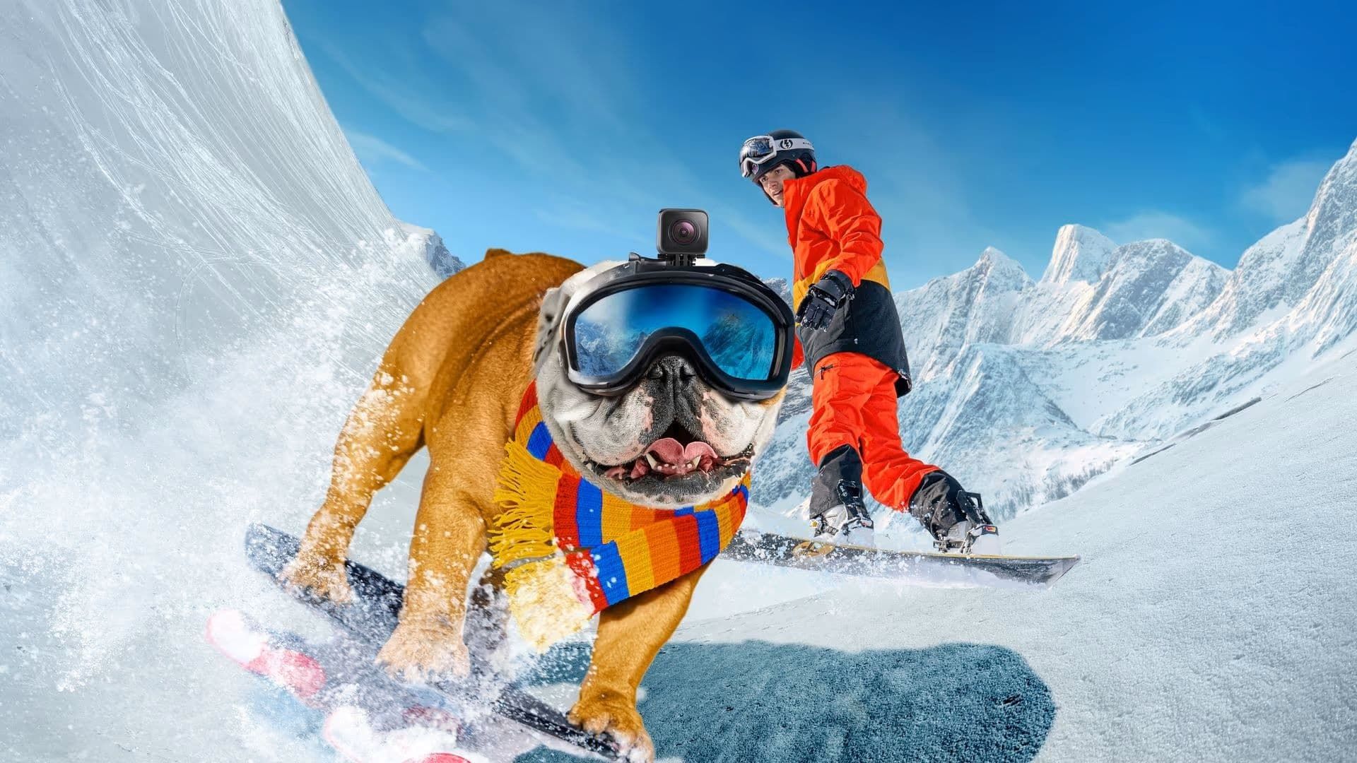 Powder Pup background