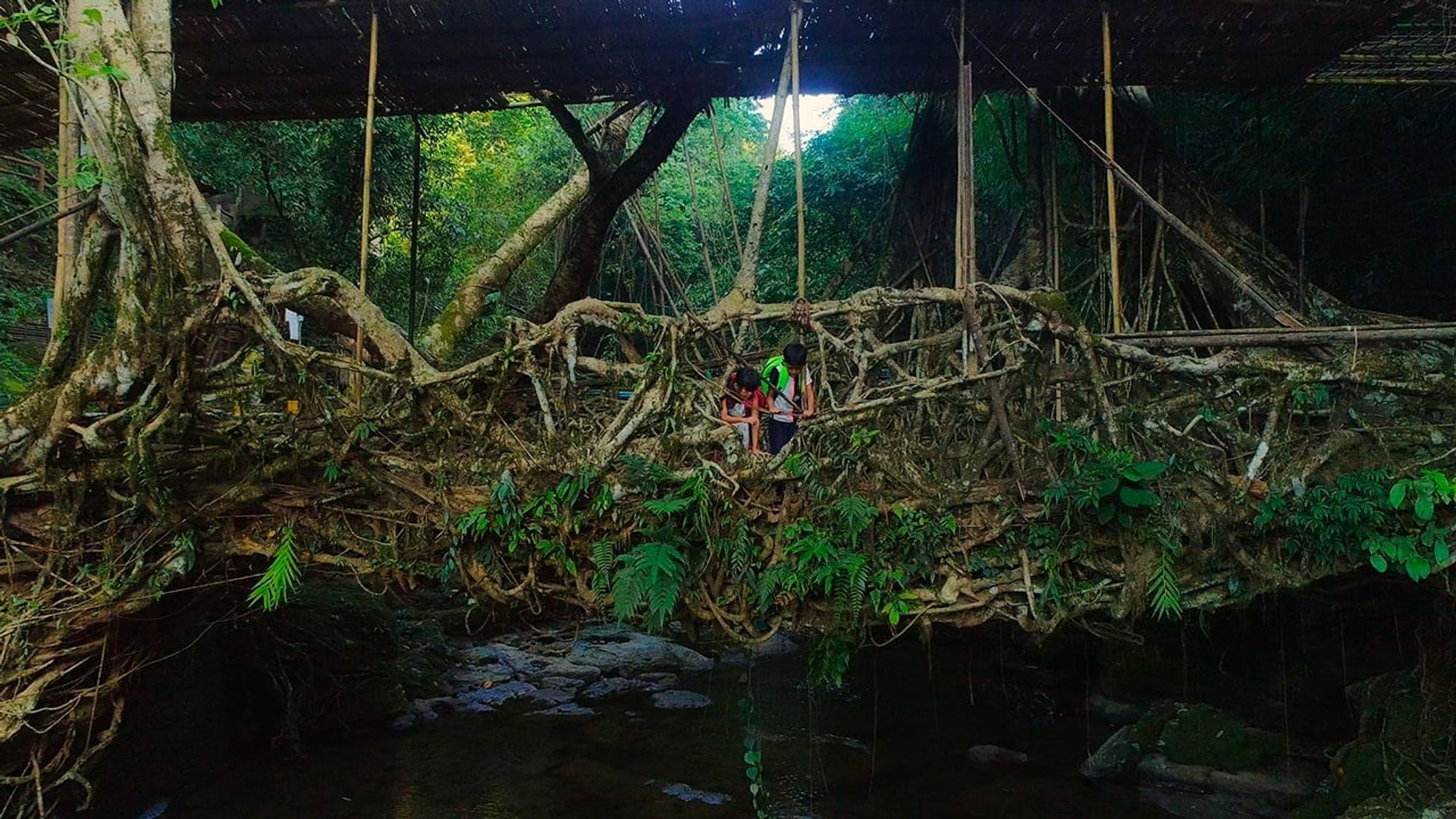 For Tomorrow - A Documentary about Grassroots Innovators background