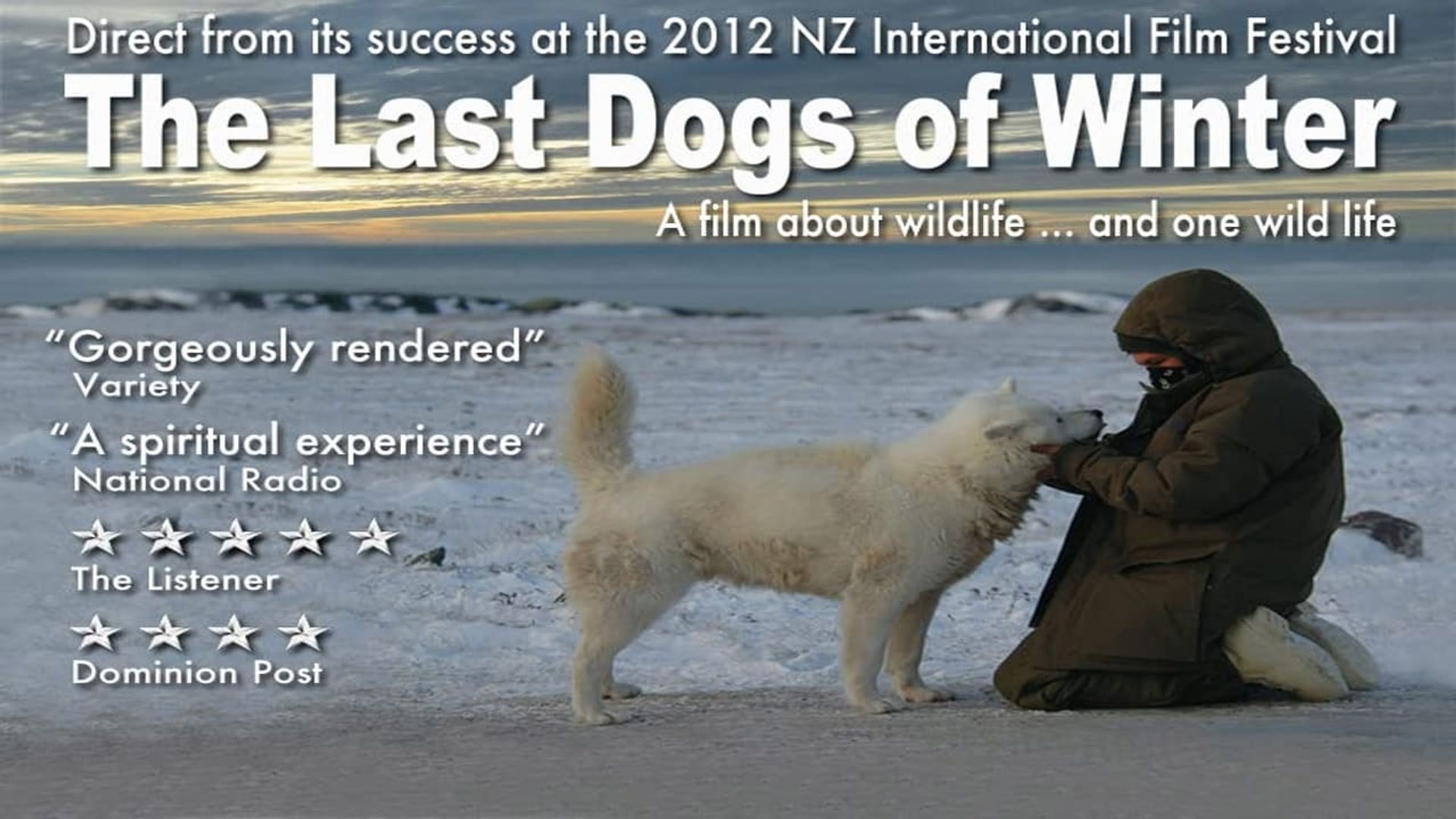 The Last Dogs of Winter background