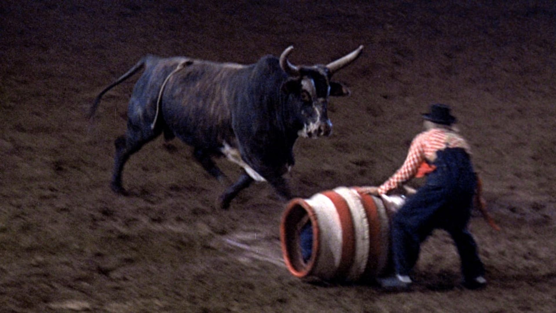 Rodeo background