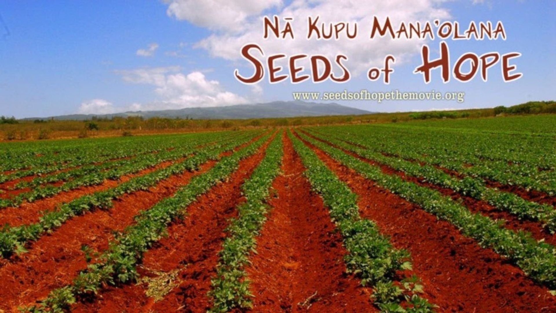Na Kupu Mana'olana background