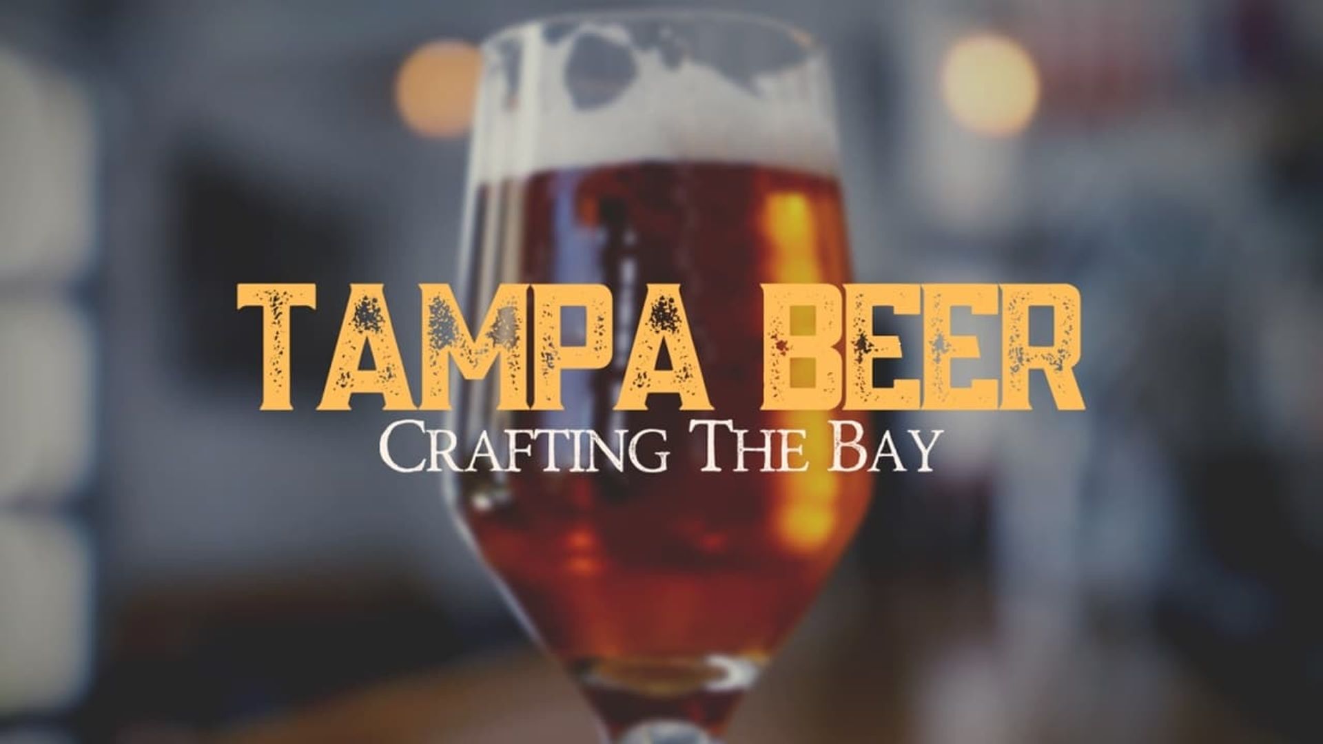 Tampa Beer: Crafting the Bay background