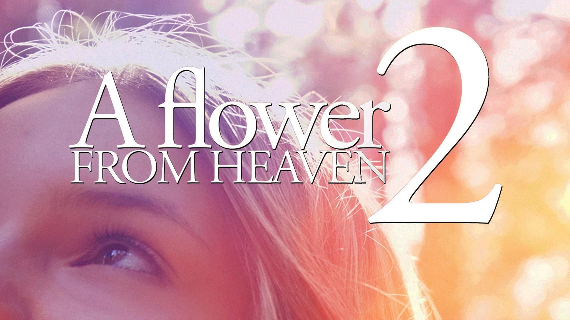 A Flower from Heaven 2 background