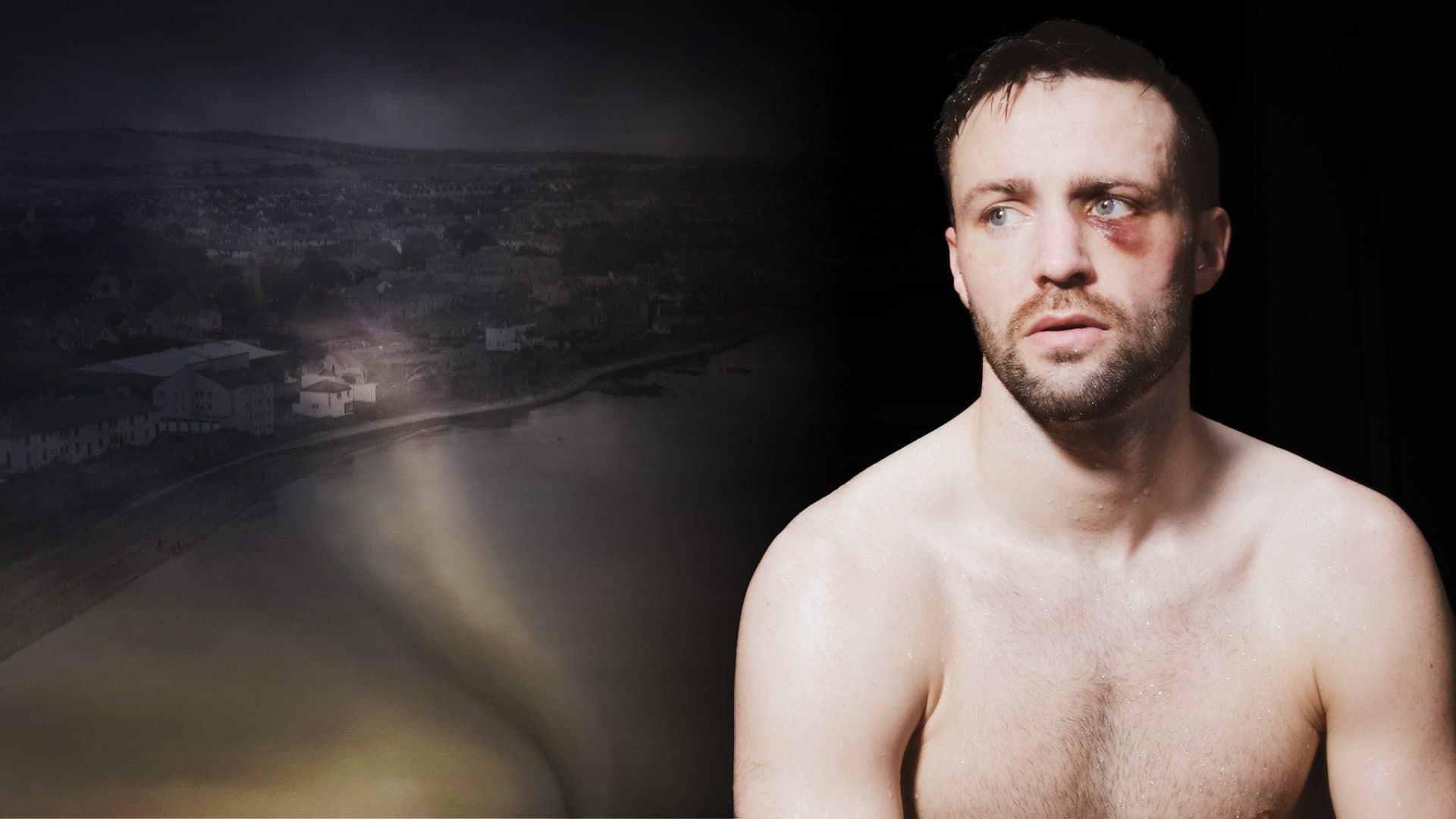 Josh Taylor: Portrait of a Fighter background