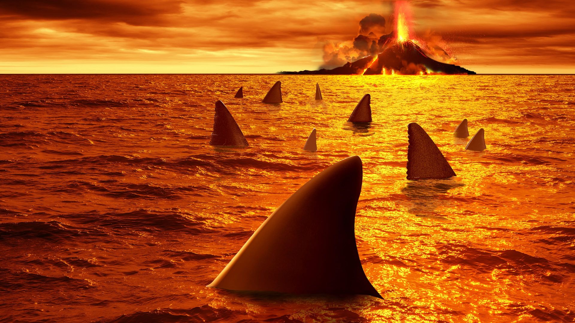 Sharkcano background