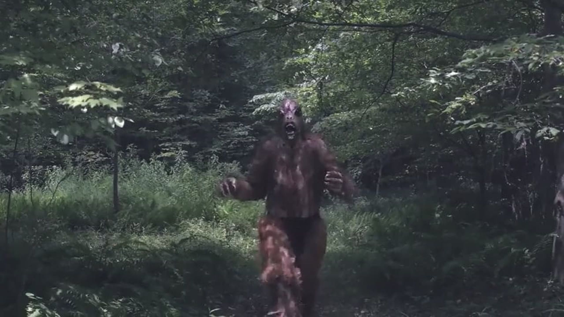 Mountain Devil 3: The Bigfoot Invasion background
