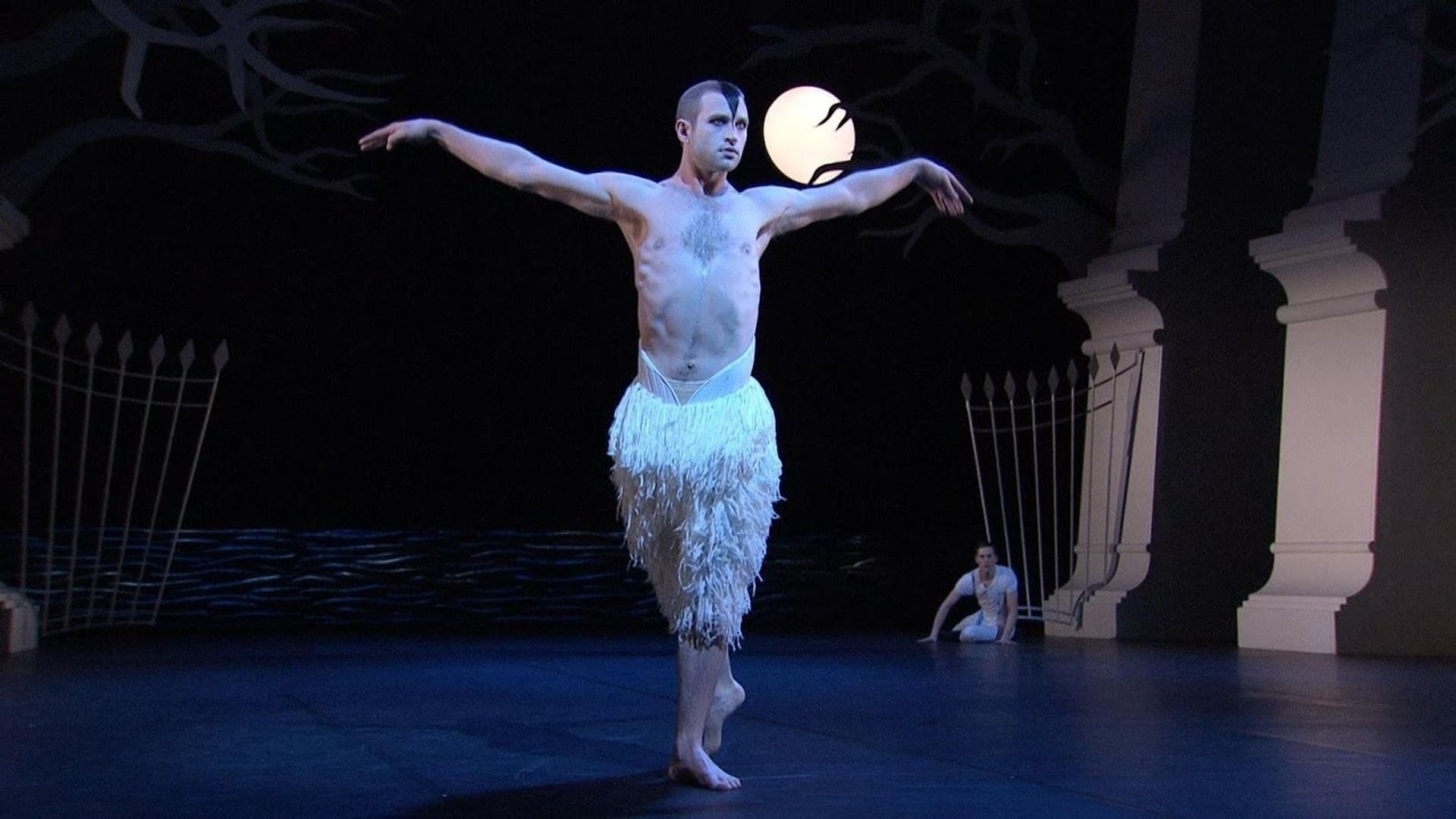 Swan Lake background