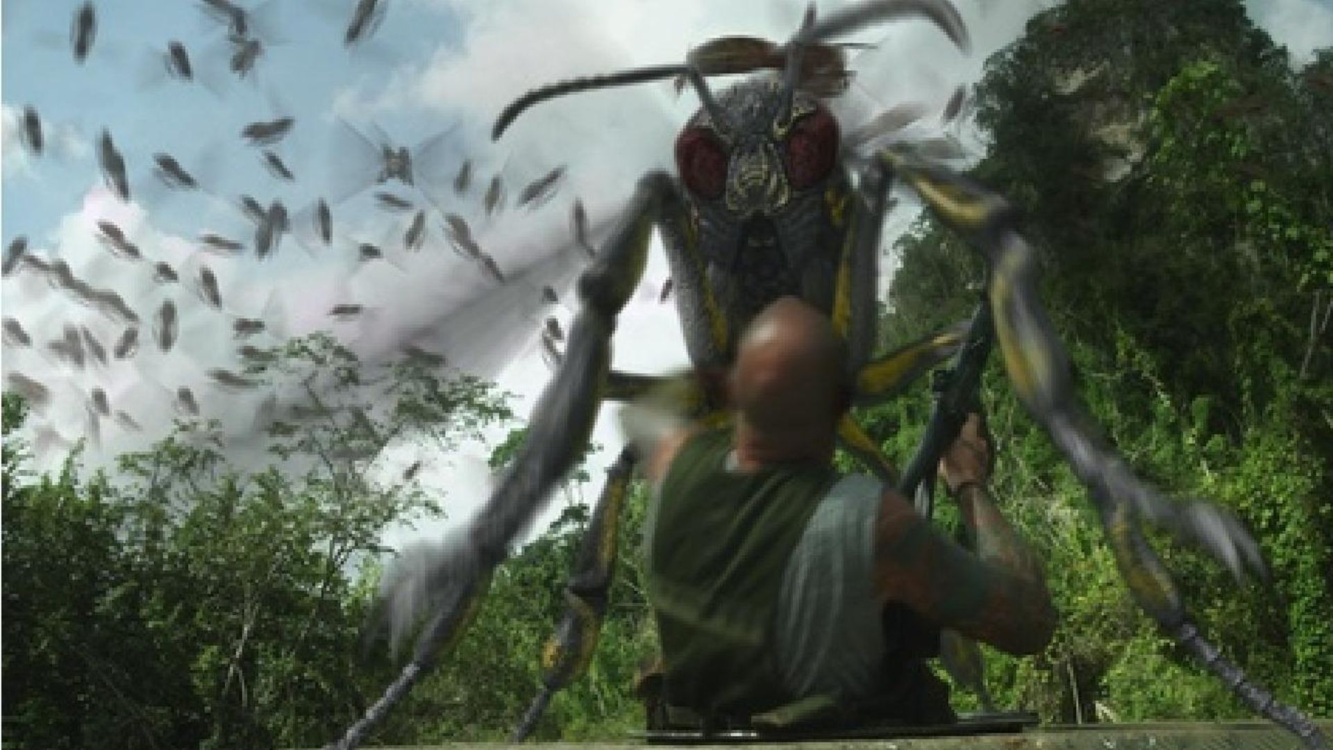 Dragonwasps background