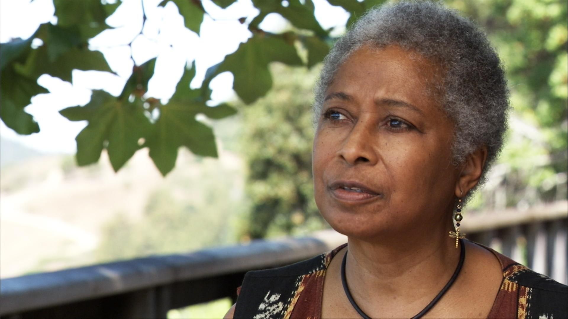 Alice Walker: Beauty in Truth background