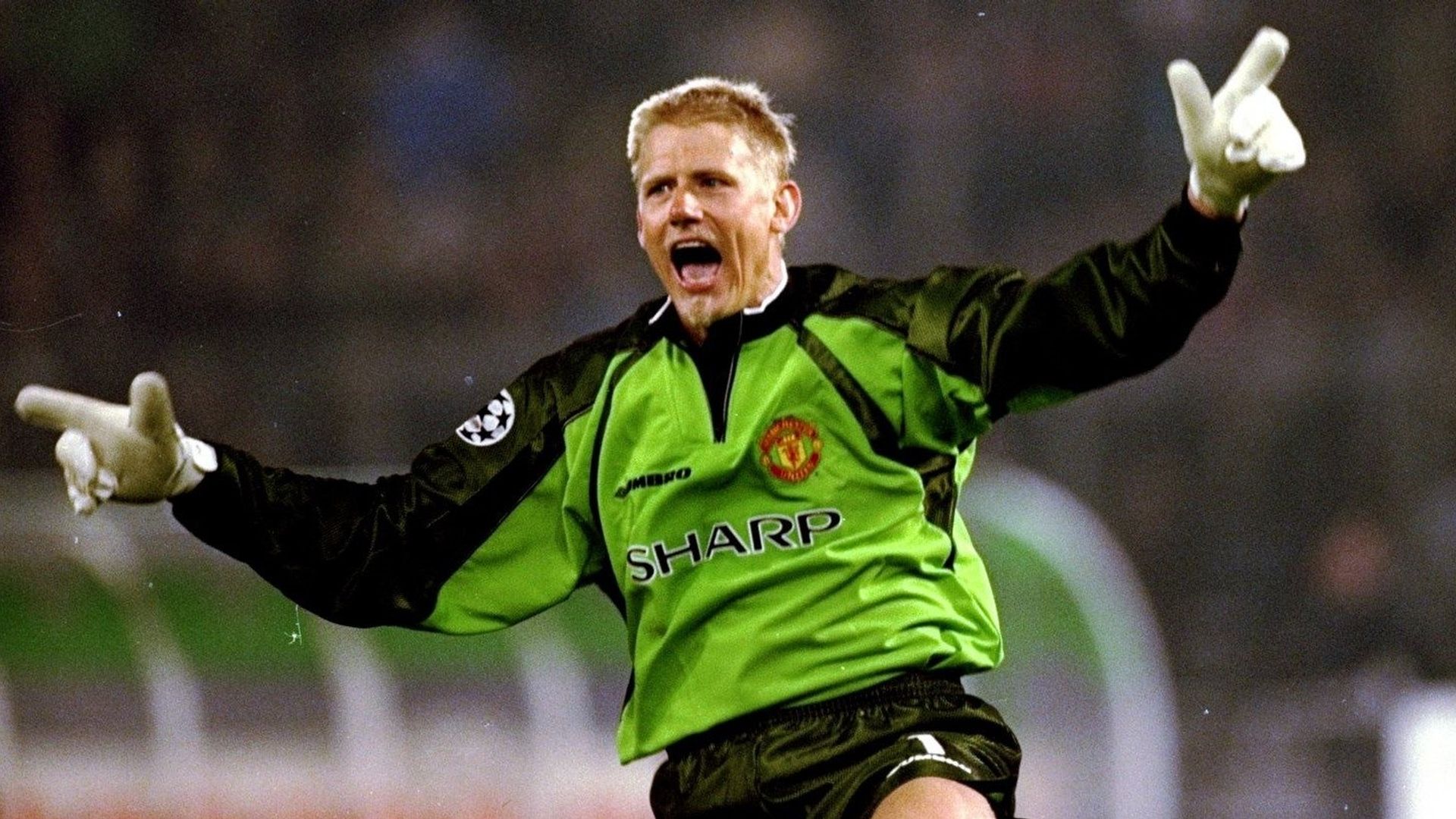 Schmeichel background