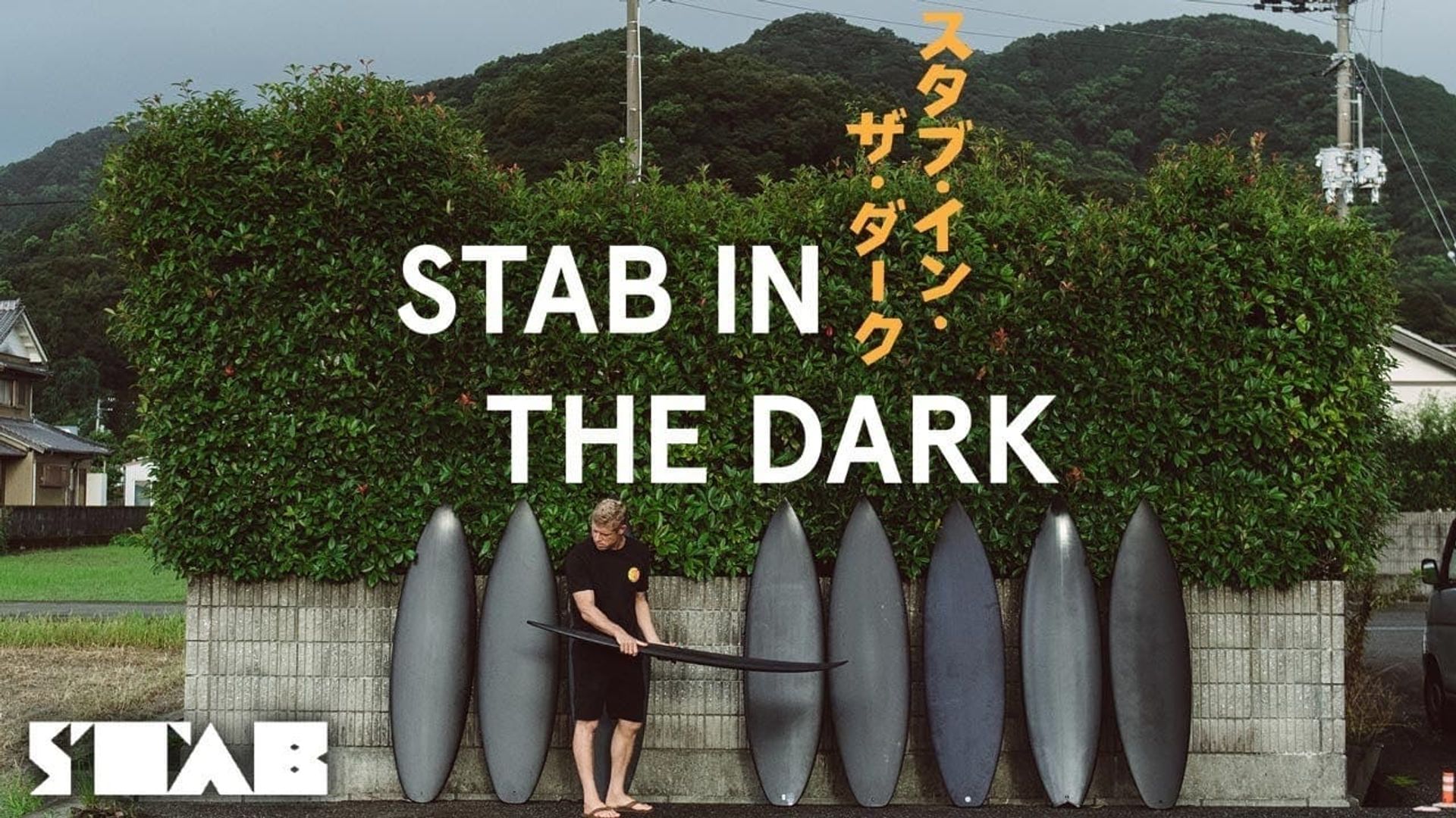 Stab in the Dark background