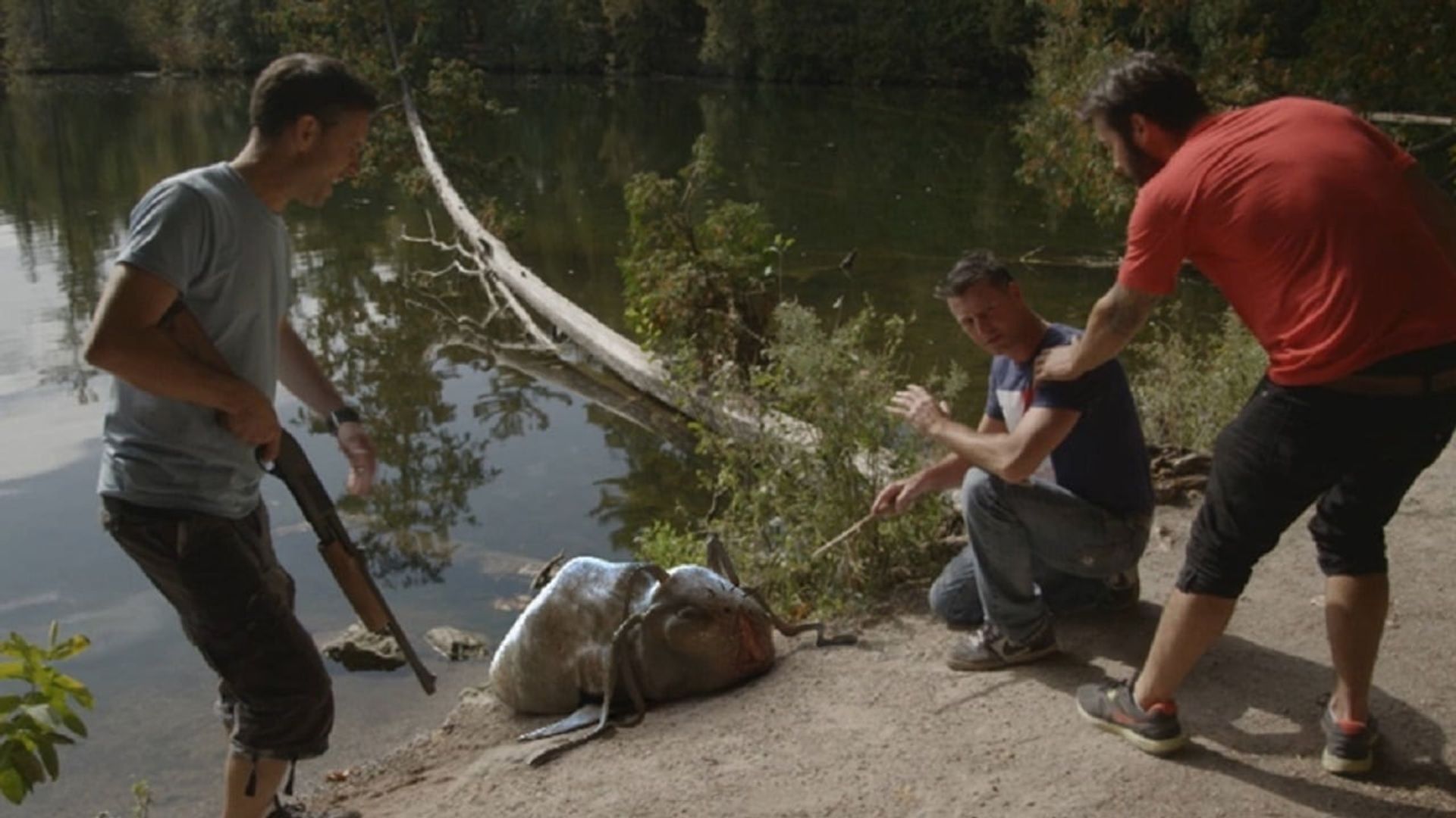 Creature Lake background