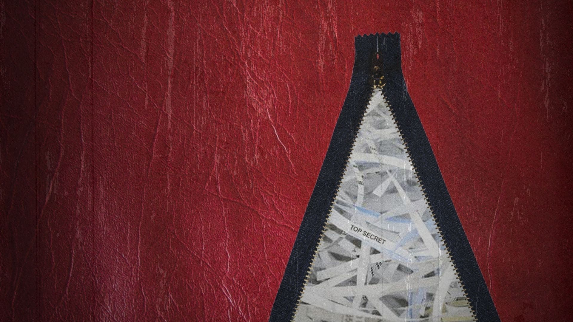 The Body in the Bag background