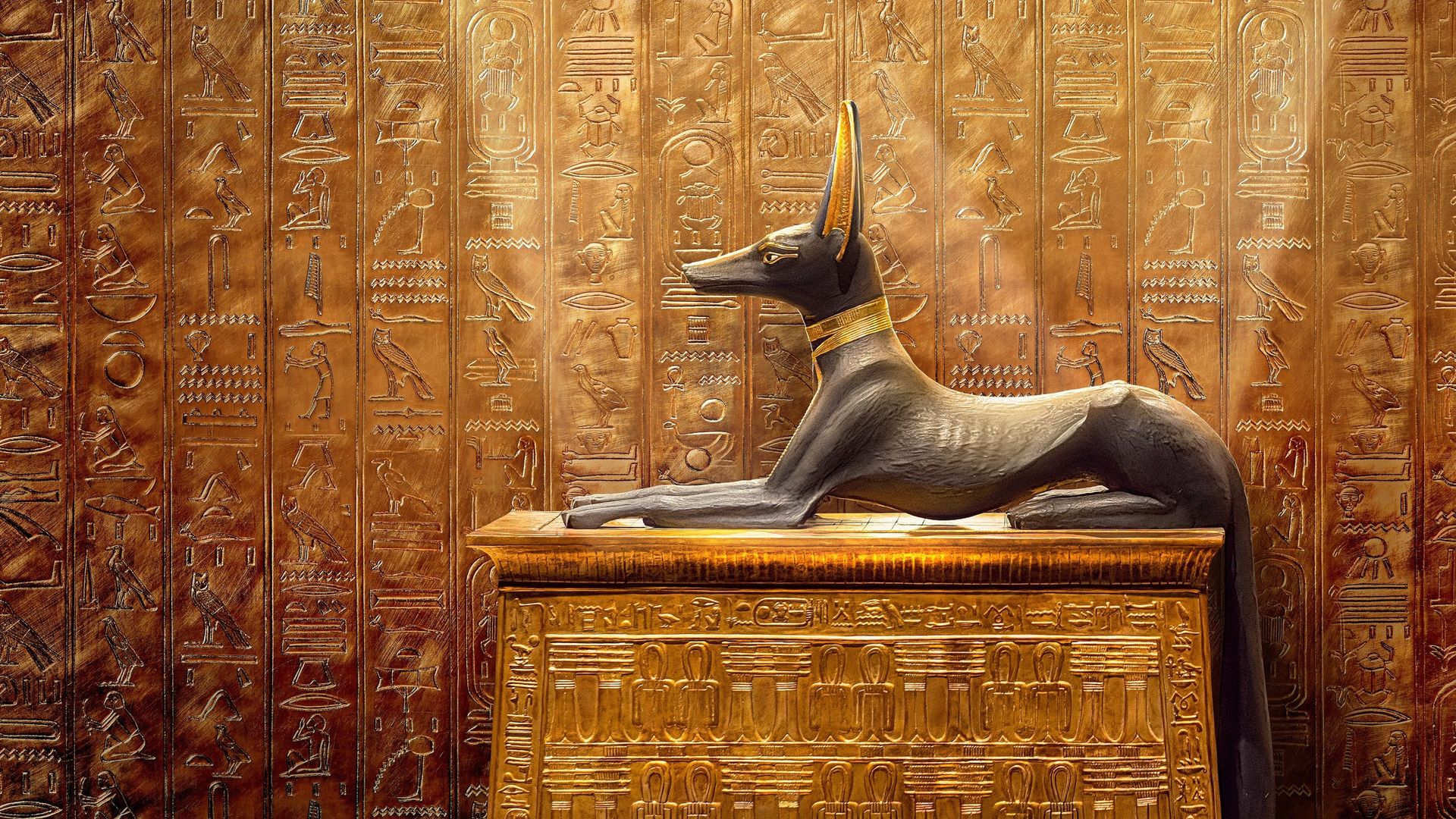 Tut: A Century of Secrets background