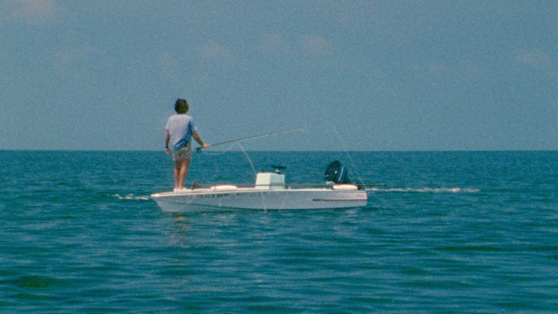 Tarpon background