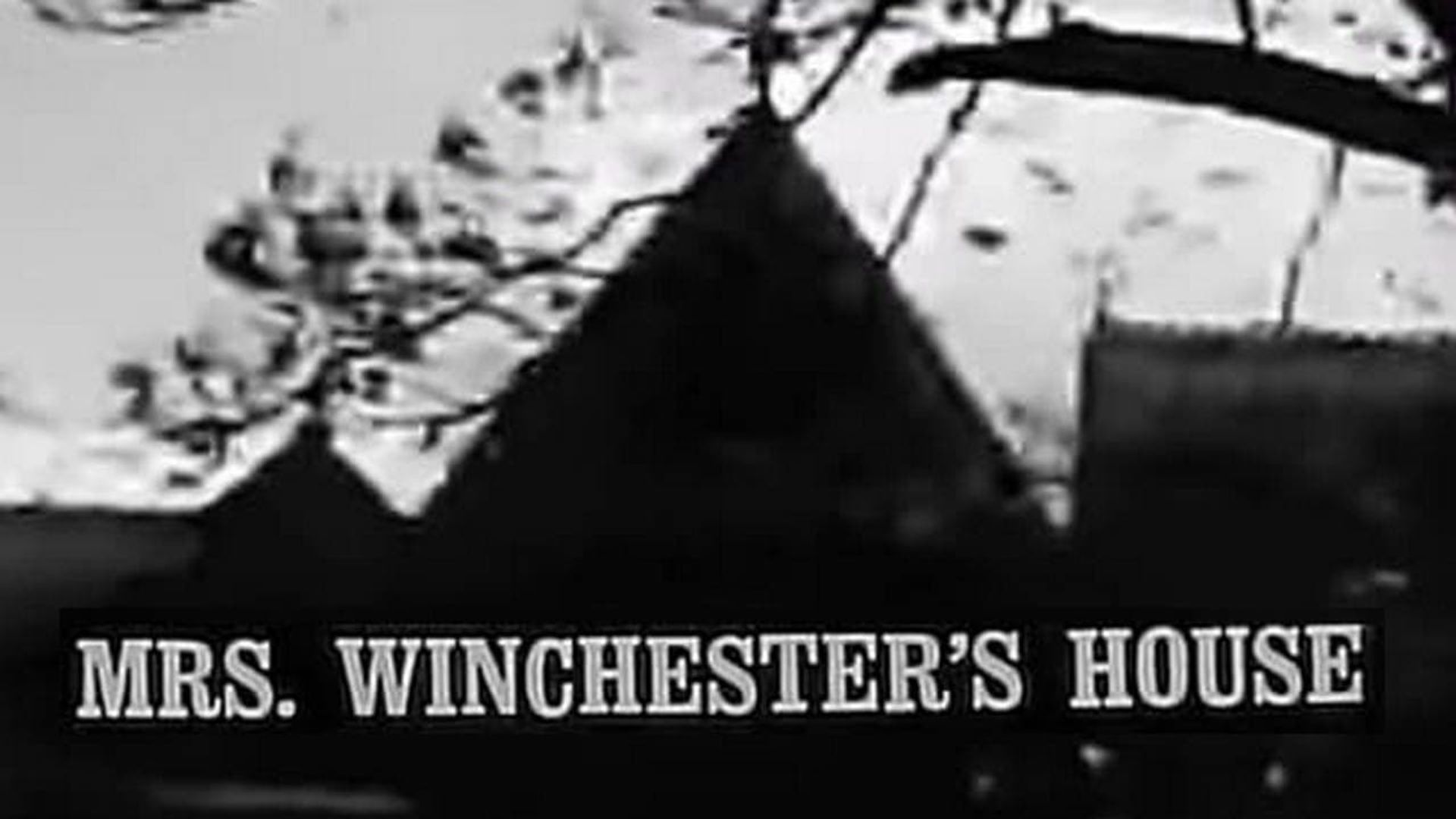 Mrs. Winchester's House background