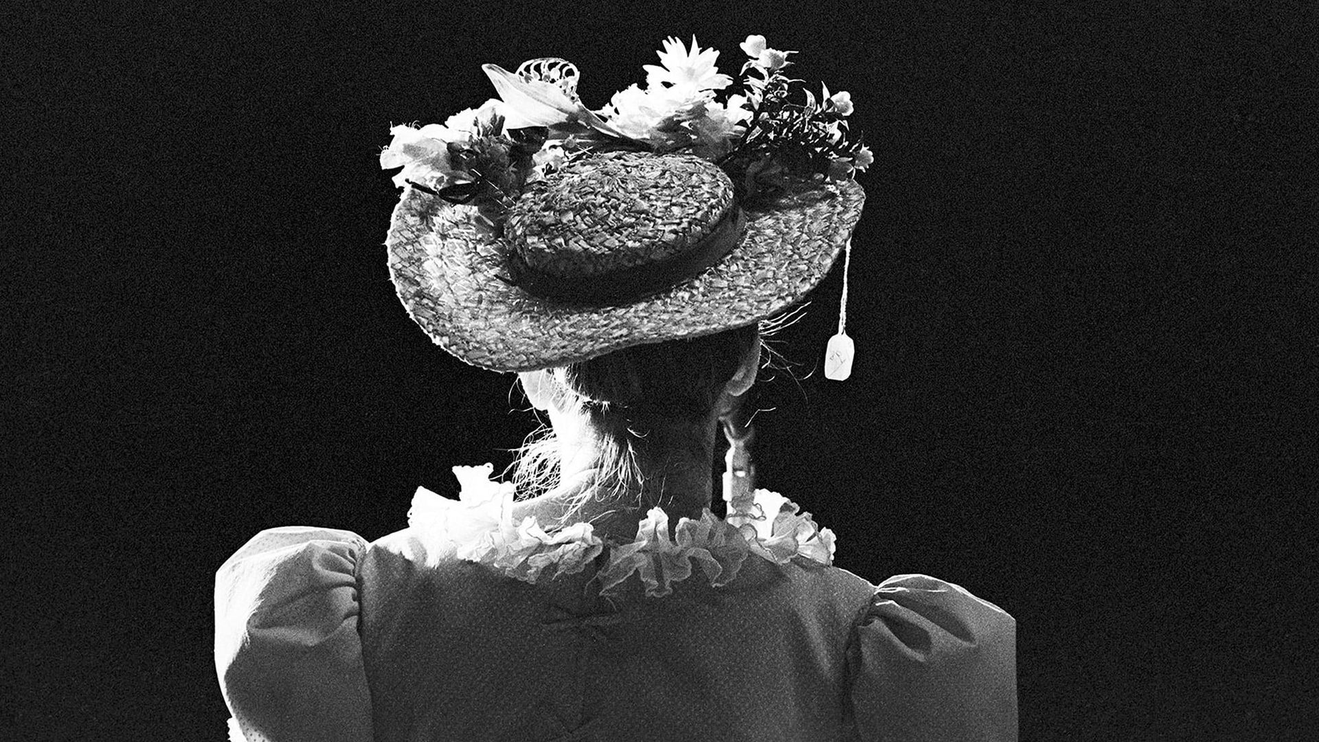 Facing the Laughter: Minnie Pearl background