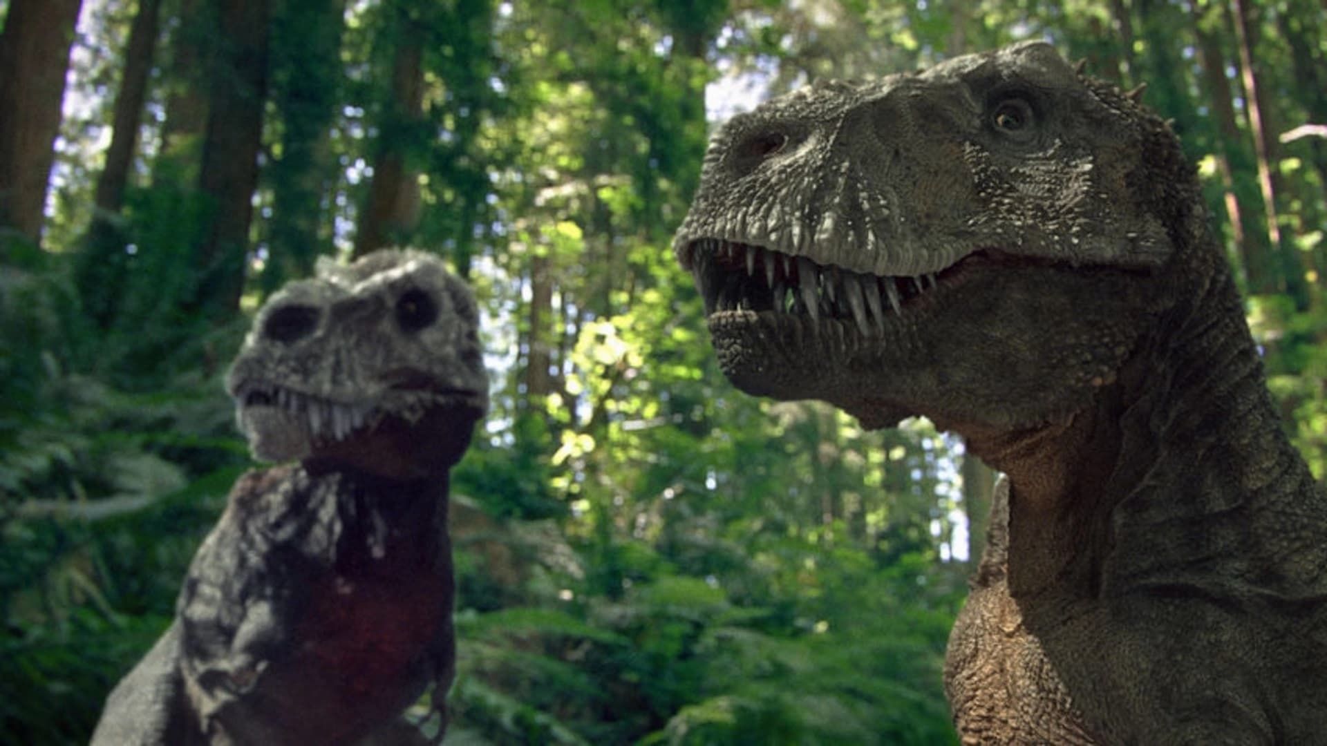 Dinotasia background