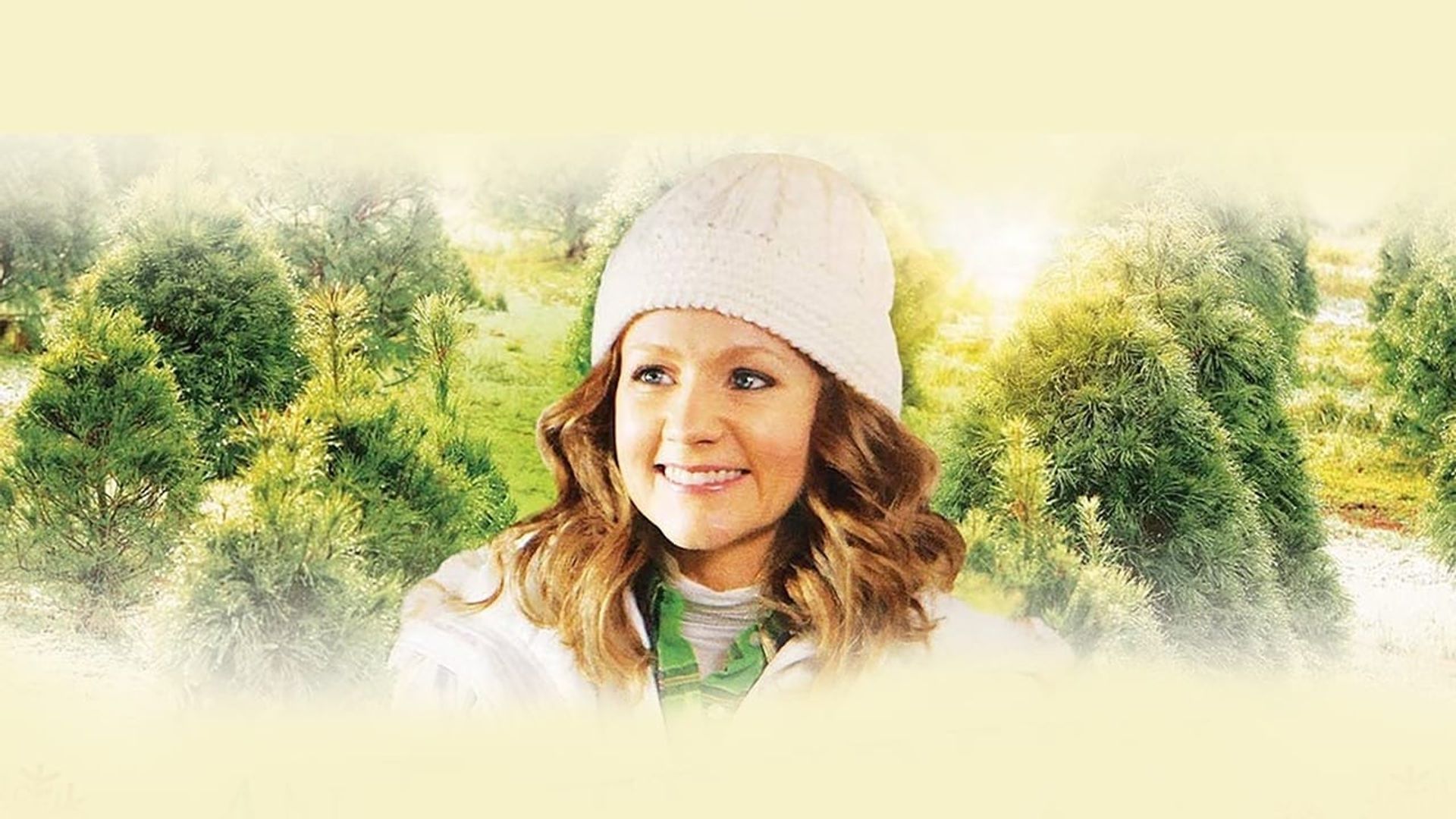 An Evergreen Christmas background
