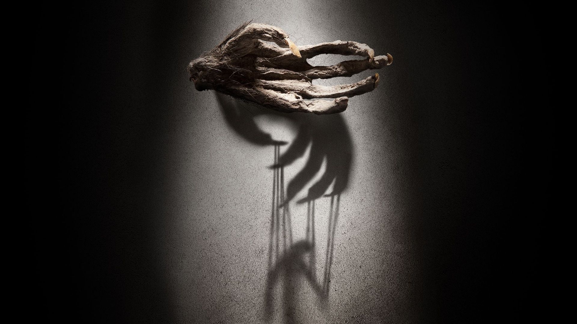 The Monkey's Paw background