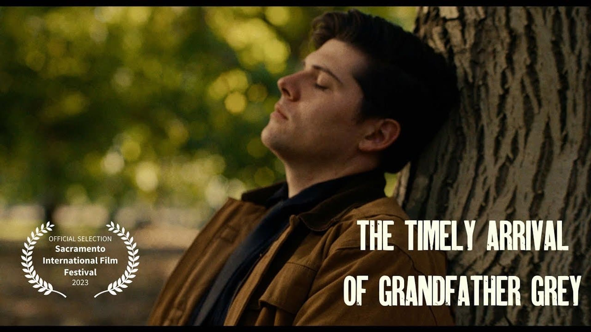 The Timely Arrival of Grandfather Grey background