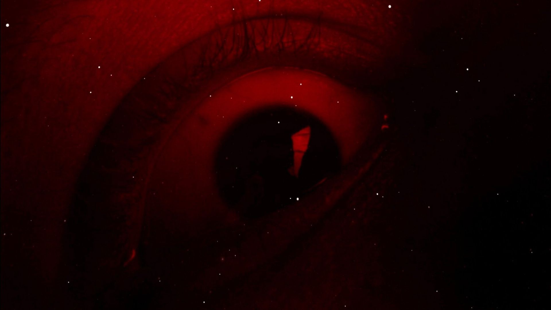 Die Vormacht background