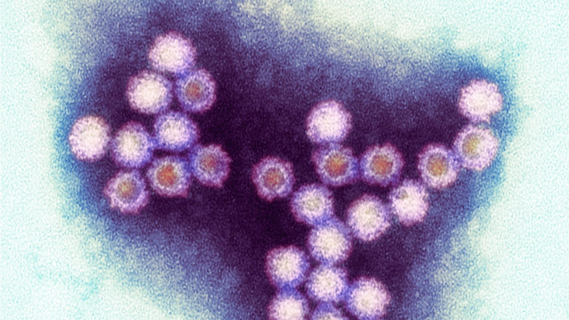 Winter Viruses and How to Beat Them background