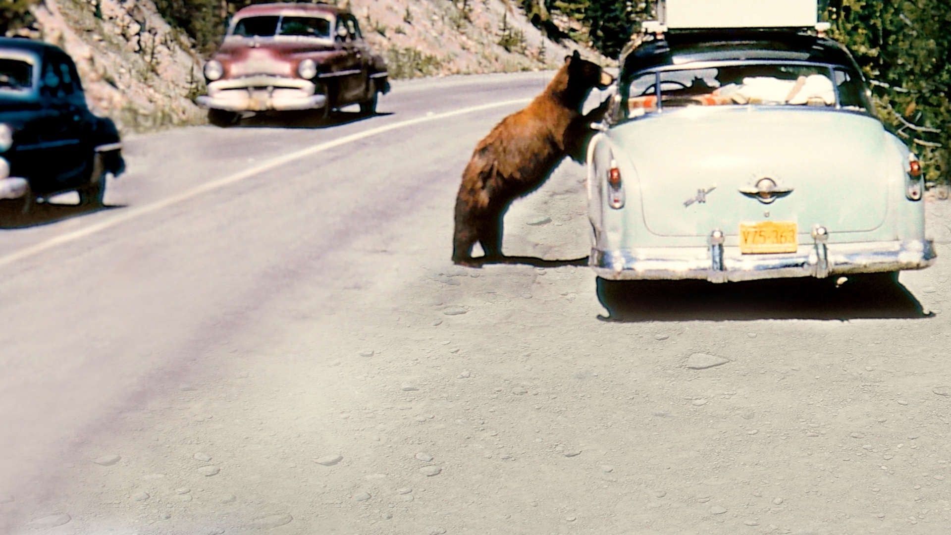 America's National Parks at 100 background