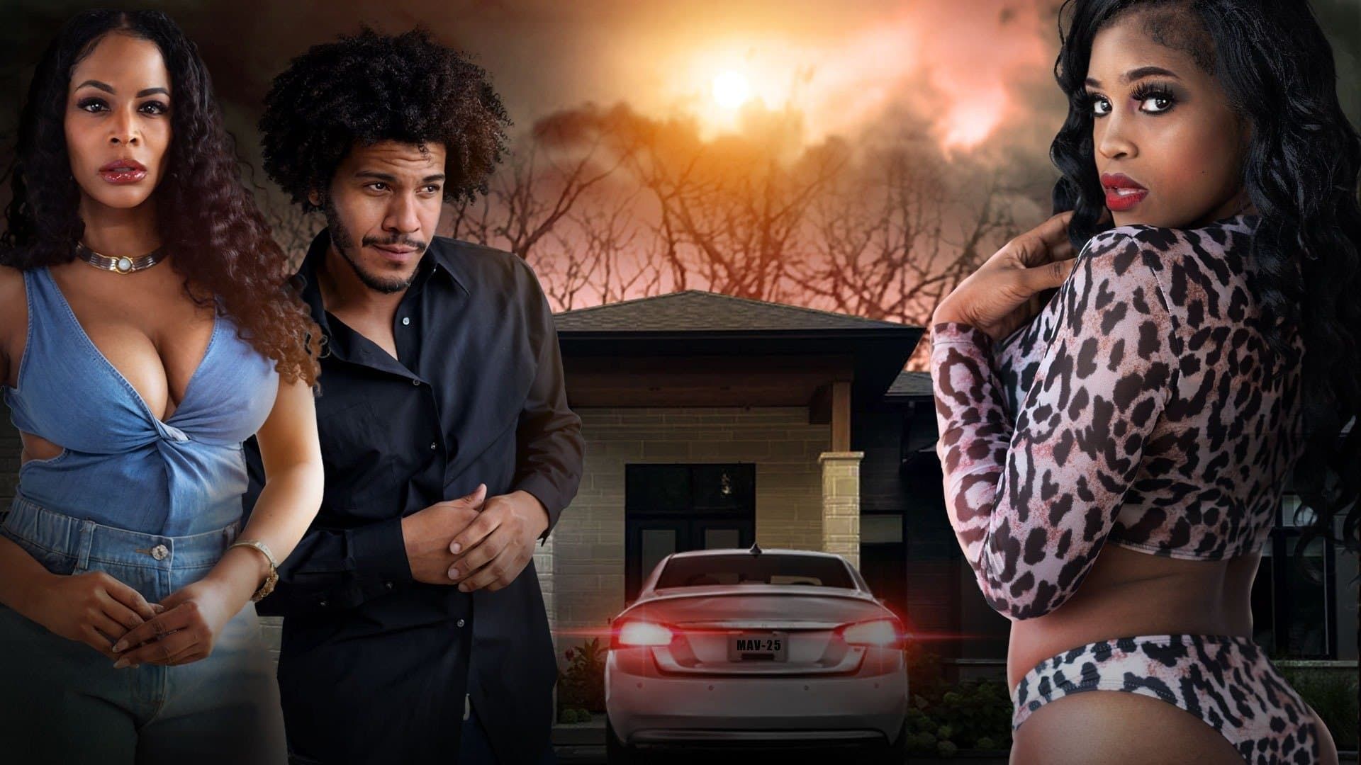 Homewrecker background