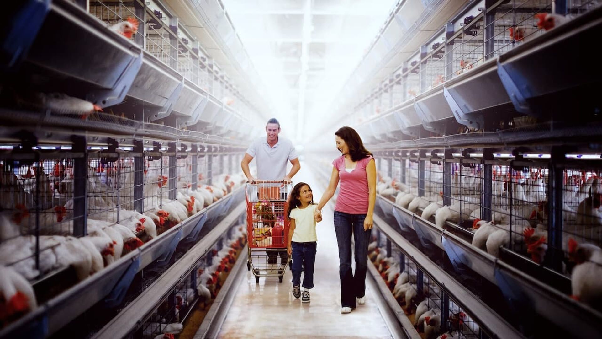 Poisoned: The Dirty Truth About Your Food background