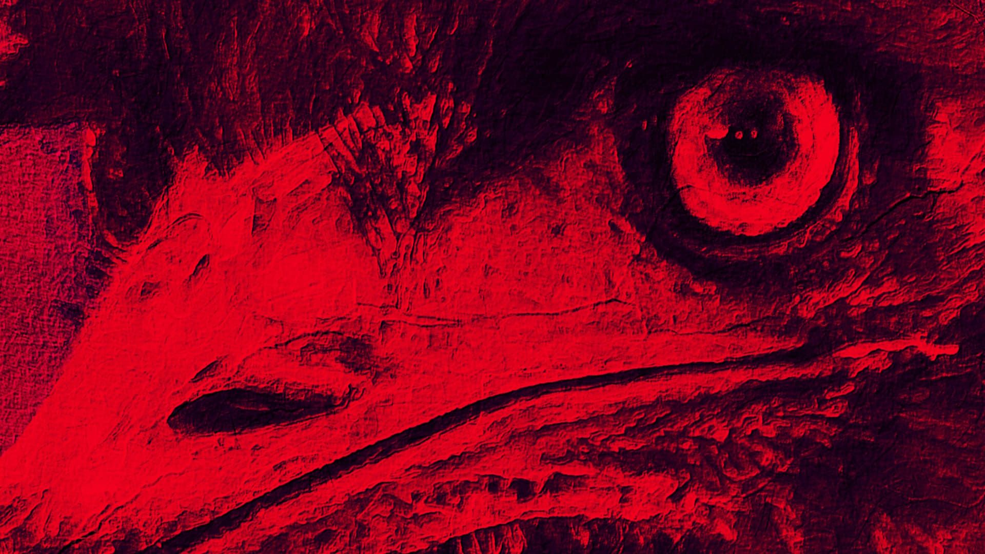 The Dark Emu Story background