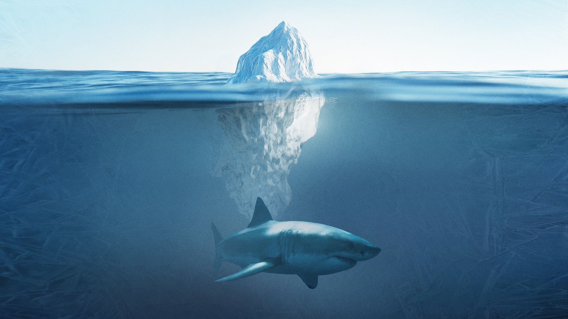 Shark Below Zero background